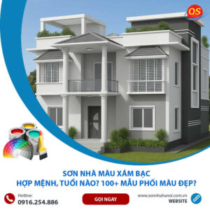 Sơn Nhà Màu Xám Bạc Hợp Mệnh, Tuổi Nào? 100+ Mẫu Phối Màu Đẹp?