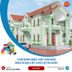 Tuổi Đinh Mão 1987 Sơn Nhà Màu Gì Đại Cát, Con Cái Tài Giỏi?